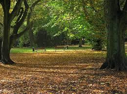 Park im. Stefana Żeromskiego w Szczecinie