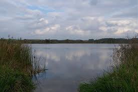 Żelewko