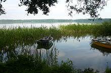 Morzycko